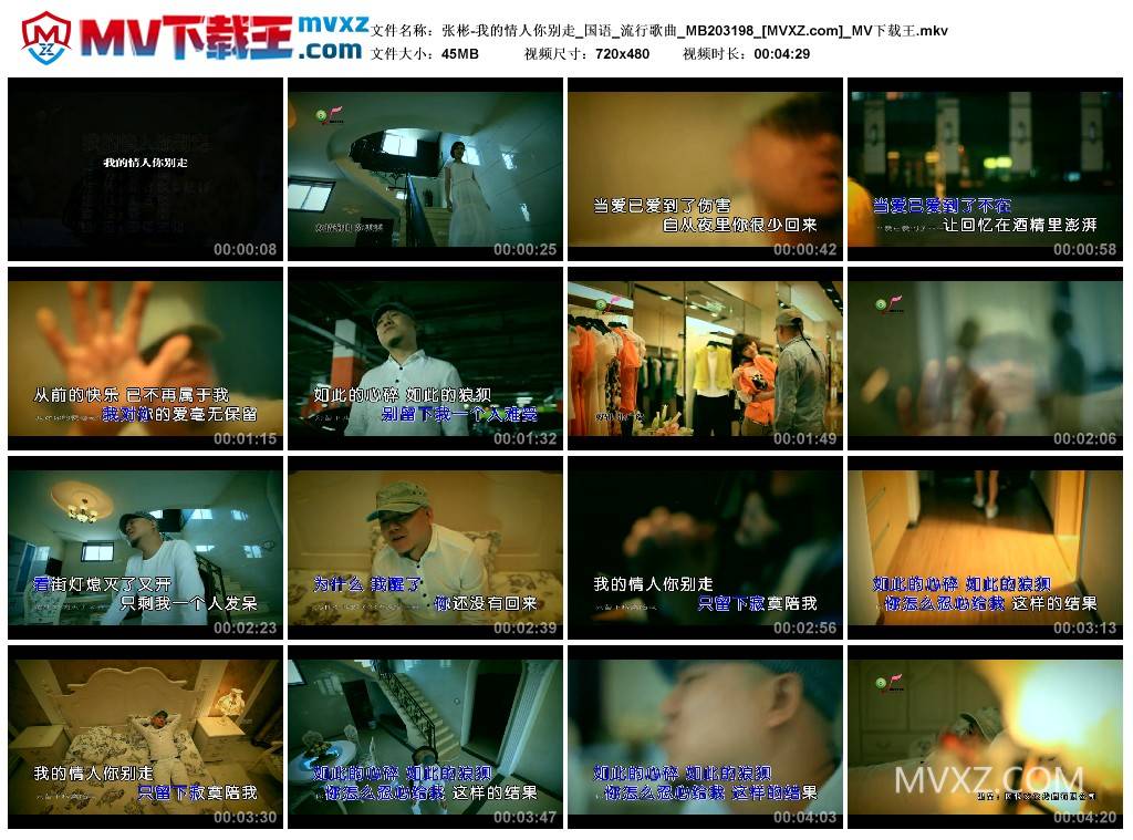 张彬-我的情人你别走_国语_流行歌曲_MB203198